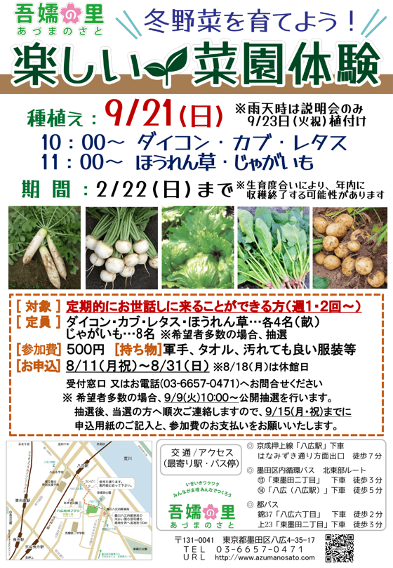 楽しい菜園体験～冬野菜を育てよう！～募集ポスター